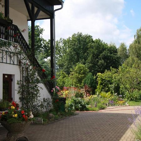 Gasthof & Pension Palmenhof Leegebruch المظهر الخارجي الصورة